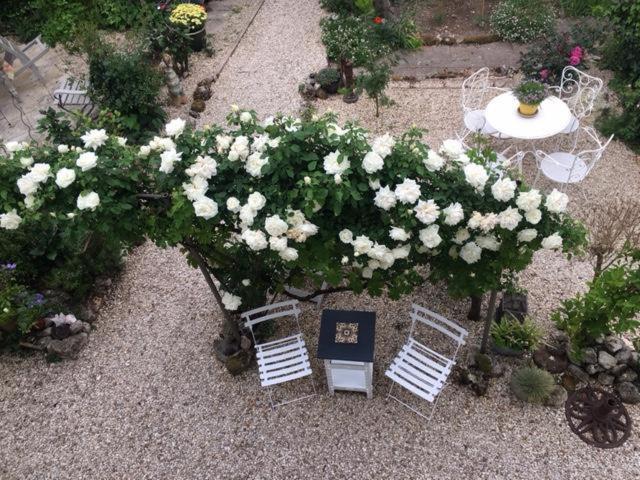 Chez Brown Bed and Breakfast Saint-Thomas-de-Cônac Εξωτερικό φωτογραφία